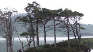 Read more about the article post 1