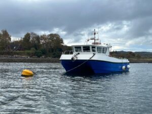 Read more about the article another test post